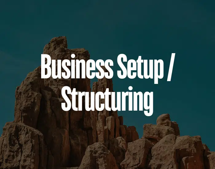 Business Setup & Structuring